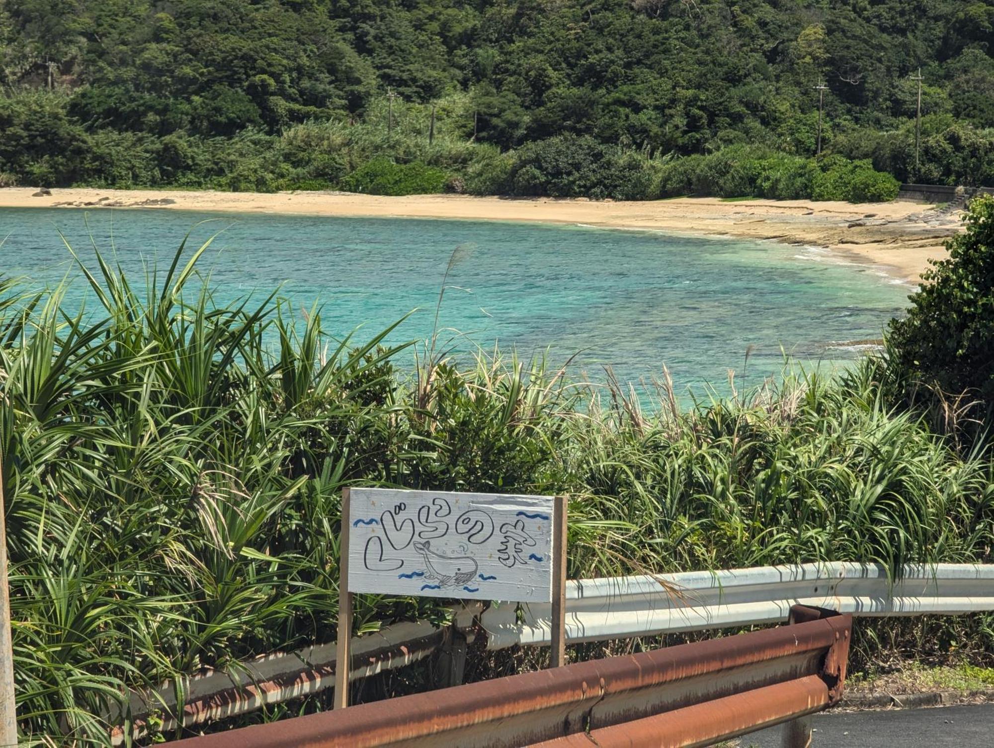 くじらの家 Villa Amami Dış mekan fotoğraf